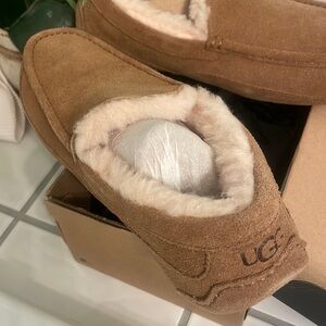 Brand new mens UGGS